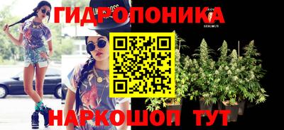 Альфа ПВП Ликино-Дулёво