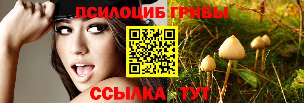 Томск  Псилоцибиновые грибы ЛСД  Вход с VPN 