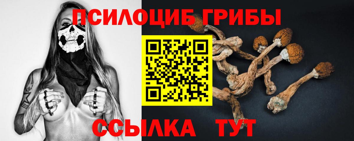 Галлюциногенные грибы MAGIC MUSHROOMS Томск