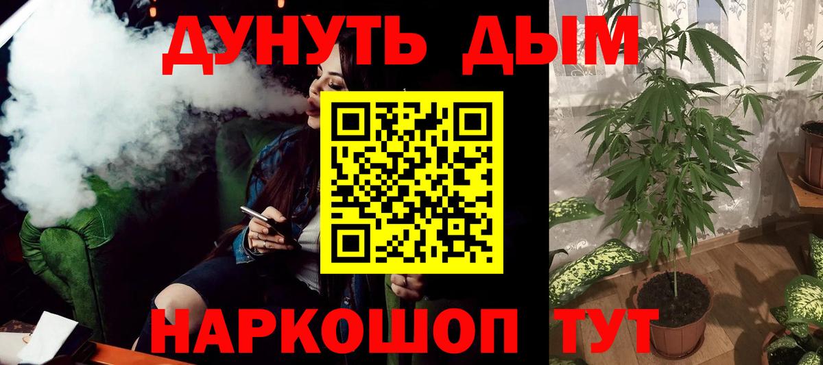 МАРИХУАНА сатива Томск